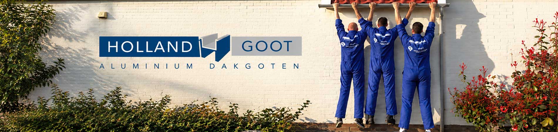 Holland Goot - Dakgoten